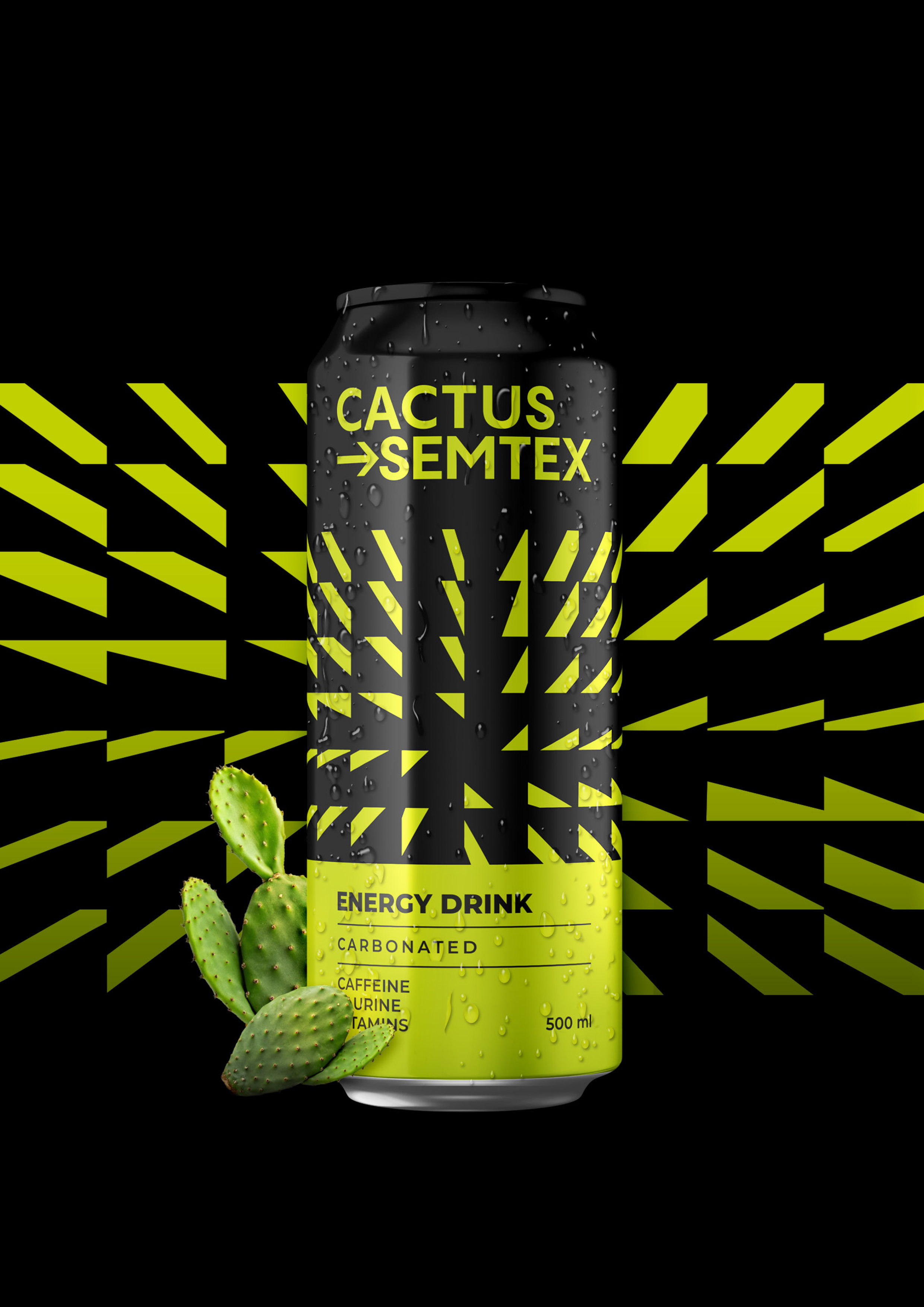 KV_semtex_2024_Cactus